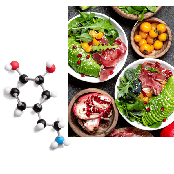 Studio Dottoressa Alessia Grillo - Biologa Nutrizionista ad Albignasego e Villafranca Padovana, nutrizione clinica e equilibrio ormonali