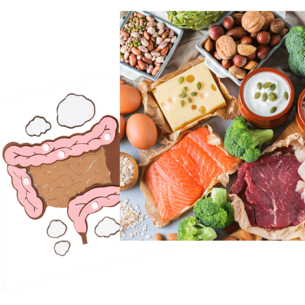 Studio Dottoressa Alessia Grillo - Biologa Nutrizionista ad Albignasego e Villafranca Padovana, nutrizione clinica e salute intestinale