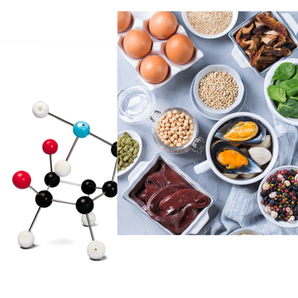 Studio Dottoressa Alessia Grillo - Biologa Nutrizionista ad Albignasego e Villafranca Padovana, nutrizione clinica e salute metabolica