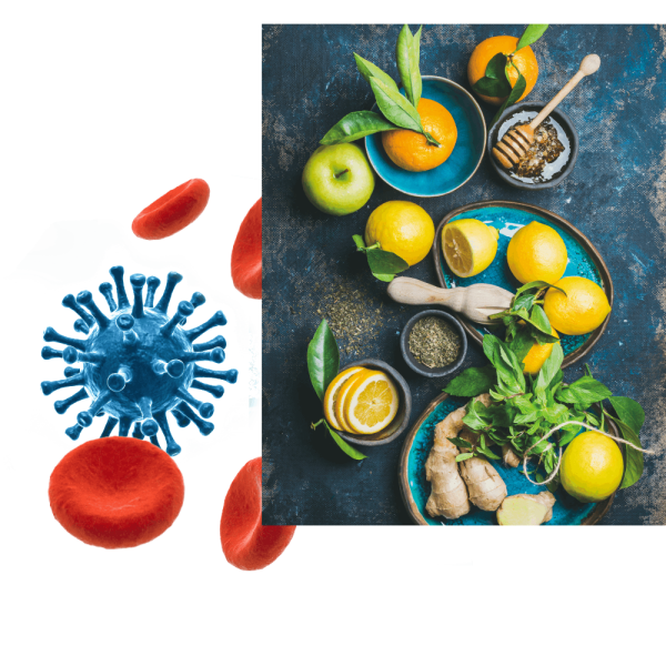 Studio Dottoressa Alessia Grillo - Biologa Nutrizionista ad Albignasego e Villafranca Padovana, nutrizione clinica e sistema immunitario